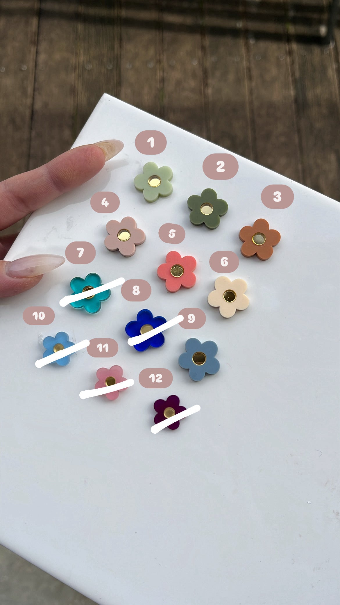 Puces oreilles colorées