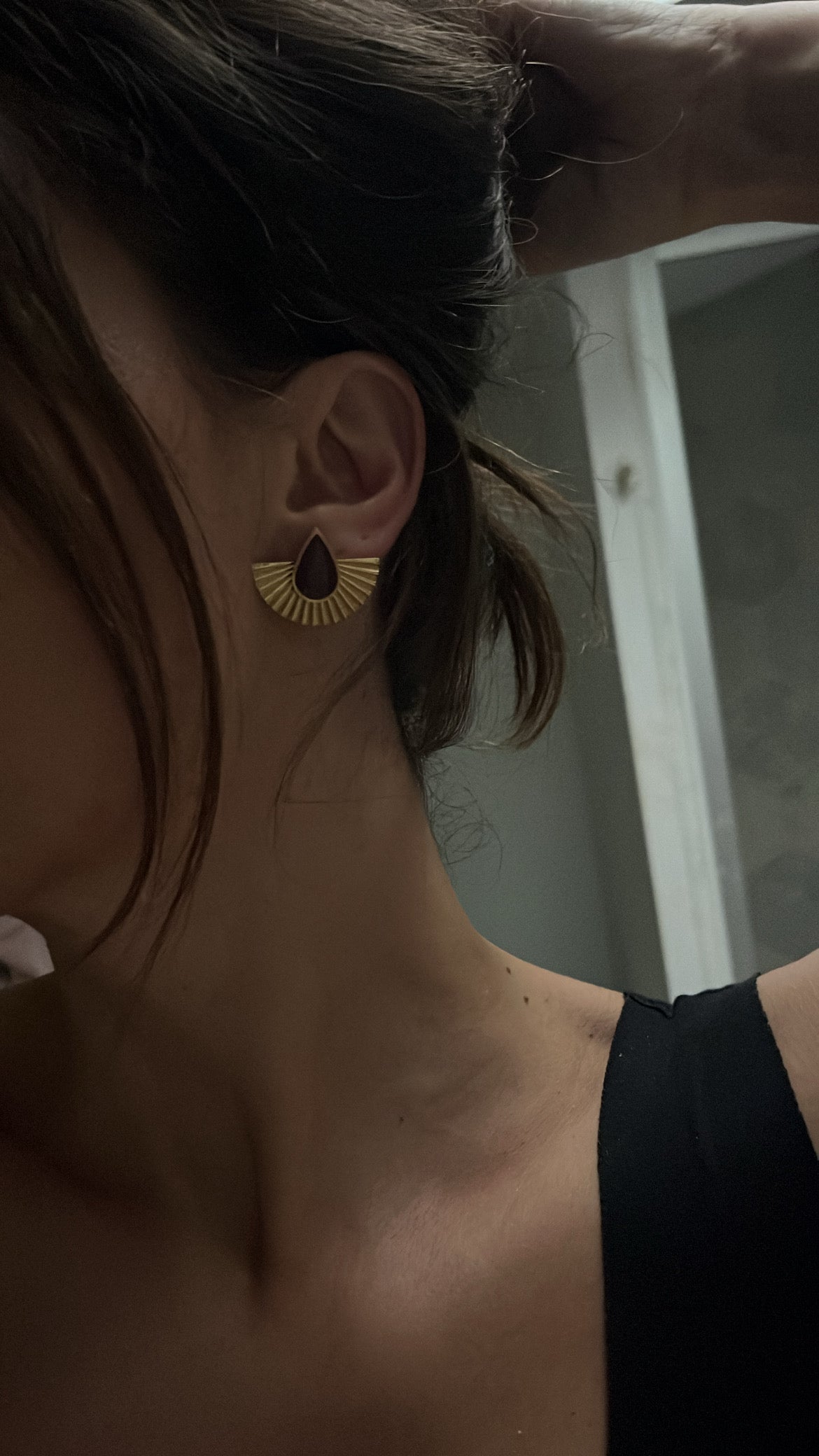 Puces d'oreilles