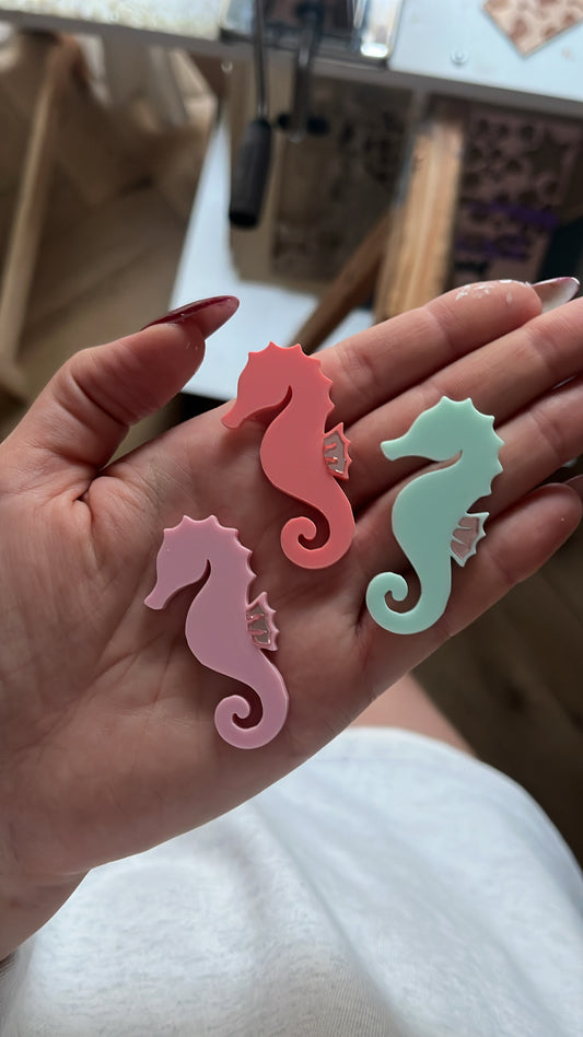 Broche hippocampe